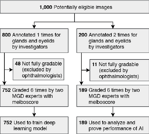 Figure 1 for AI-based automated Meibomian gland segmentation, classification and reflection correction in infrared Meibography