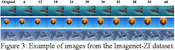 Figure 4 for Adversarial Zoom Lens: A Novel Physical-World Attack to DNNs