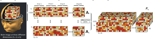 Figure 3 for Higher-Order Block Term Decomposition for Spatially Folded fMRI Data