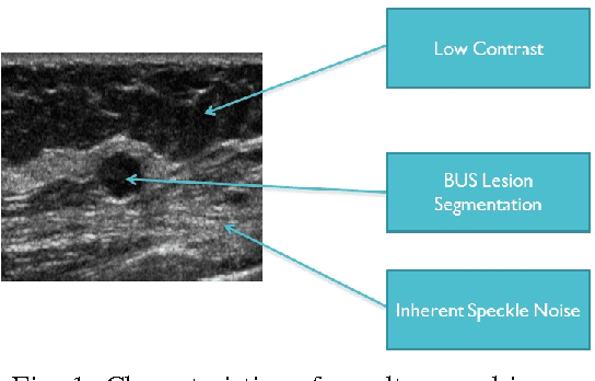 Figure 1 for Automated Breast Lesion Segmentation in Ultrasound Images