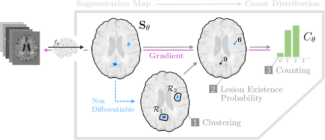 Figure 1 for Segmentation-Consistent Probabilistic Lesion Counting