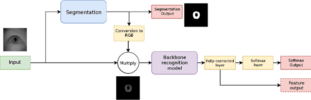 Figure 1 for Influence of segmentation on deep iris recognition performance