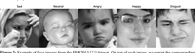 Figure 3 for MAFER: a Multi-resolution Approach to Facial Expression Recognition