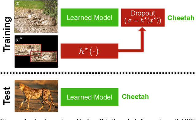 Figure 1 for Deep Learning under Privileged Information Using Heteroscedastic Dropout