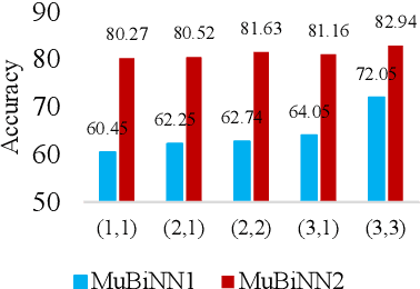 Figure 4 for MuBiNN: Multi-Level Binarized Recurrent Neural Network for EEG signal Classification