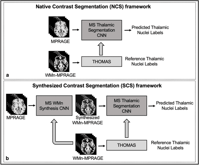 Figure 2 for A Contrast Synthesized Thalamic Nuclei Segmentation Scheme using Convolutional Neural Networks