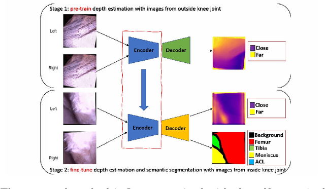 Figure 3 for Self-supervised Depth Estimation to Regularise Semantic Segmentation in Knee Arthroscopy