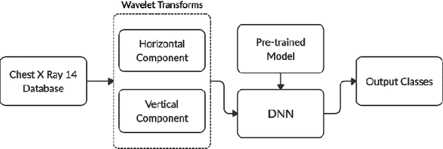 Figure 3 for Classification of Chest Diseases using Wavelet Transforms and Transfer Learning