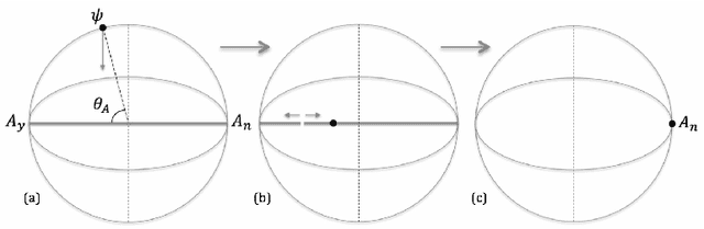 Figure 1 for Quantum cognition beyond Hilbert space II: Applications