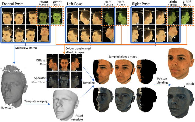 Figure 2 for A Morphable Face Albedo Model