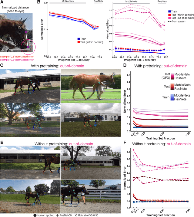Figure 2 for Pretraining boosts out-of-domain robustness for pose estimation