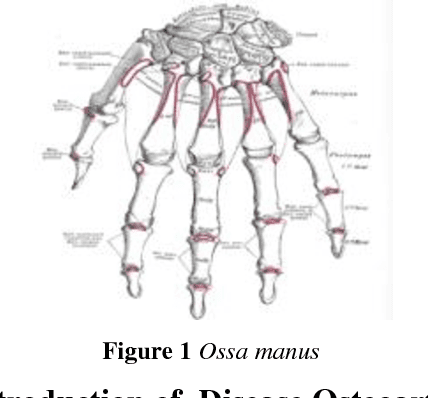 Figure 1 for Osteoarthritis Disease Detection System using Self Organizing Maps Method based on Ossa Manus X-Ray