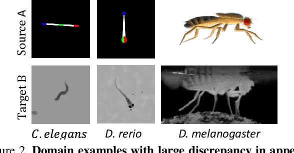 Figure 3 for Deformation-aware Unpaired Image Translation for Pose Estimation on Laboratory Animals