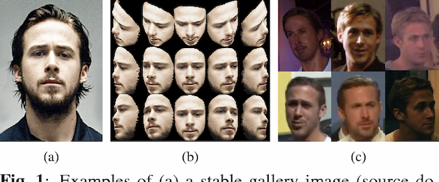 Figure 1 for SSPP-DAN: Deep Domain Adaptation Network for Face Recognition with Single Sample Per Person