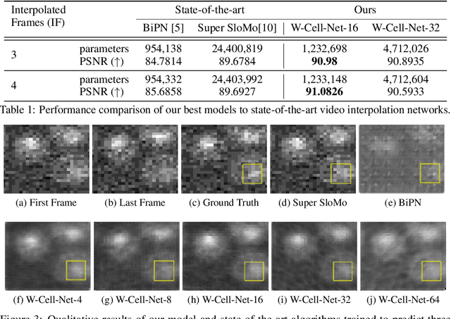 Figure 2 for W-Cell-Net: Multi-frame Interpolation of Cellular Microscopy Videos