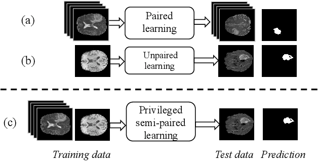 Figure 3 for Learning Multi-Modal Brain Tumor Segmentation from Privileged Semi-Paired MRI Images with Curriculum Disentanglement Learning