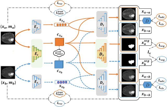 Figure 4 for Learning Multi-Modal Brain Tumor Segmentation from Privileged Semi-Paired MRI Images with Curriculum Disentanglement Learning