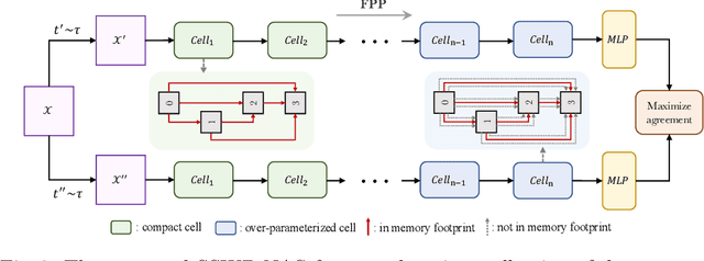 Figure 3 for Towards Self-supervised and Weight-preserving Neural Architecture Search