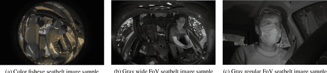 Figure 1 for Robust Seatbelt Detection and Usage Recognition for Driver Monitoring Systems