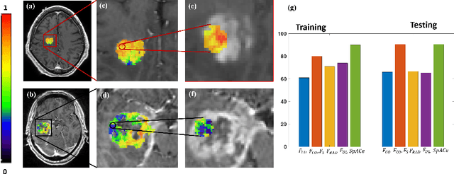 Figure 2 for Spatial-And-Context aware (SpACe) "virtual biopsy" radiogenomic maps to target tumor mutational status on structural MRI