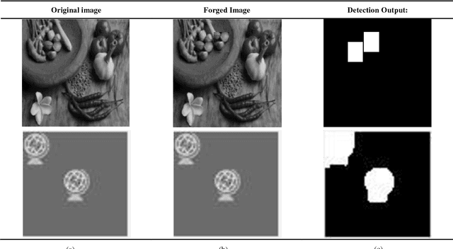 Figure 4 for Intensity and Rescale Invariant Copy Move Forgery Detection Techniques