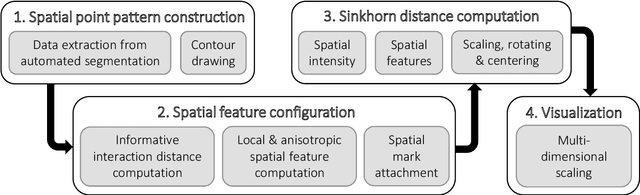 Figure 1 for A novel statistical methodology for quantifying the spatial arrangements of axons in peripheral nerves