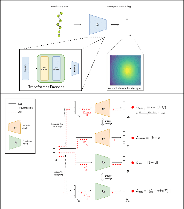 Figure 1 for Guided Generative Protein Design using Regularized Transformers