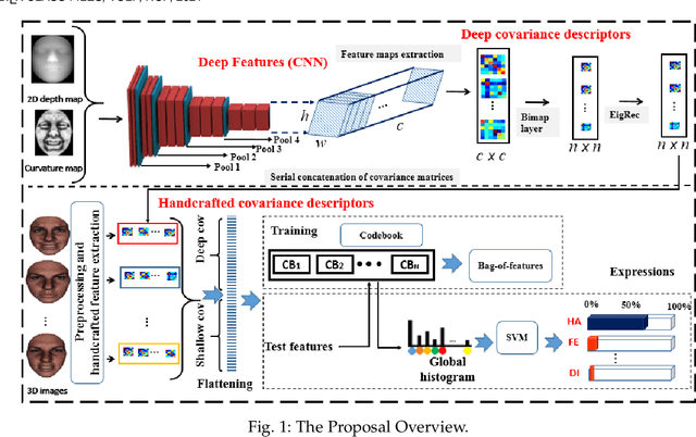 Figure 1 for Deep and Shallow Covariance Feature Quantization for 3D Facial Expression Recognition