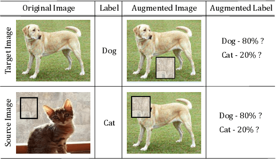 Figure 1 for SaliencyMix: A Saliency Guided Data Augmentation Strategy for Better Regularization