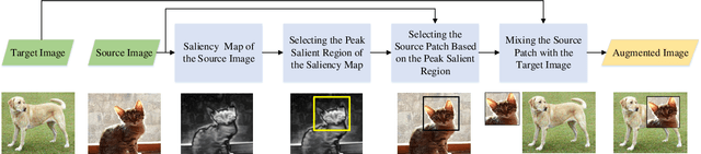 Figure 3 for SaliencyMix: A Saliency Guided Data Augmentation Strategy for Better Regularization