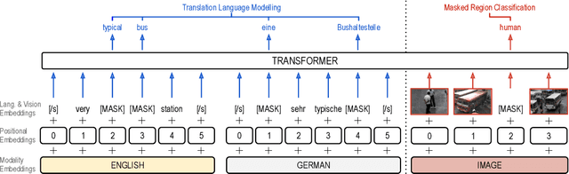 Figure 1 for Cross-lingual Visual Pre-training for Multimodal Machine Translation