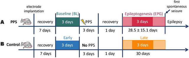 Figure 1 for Towards Early Diagnosis of Epilepsy from EEG Data