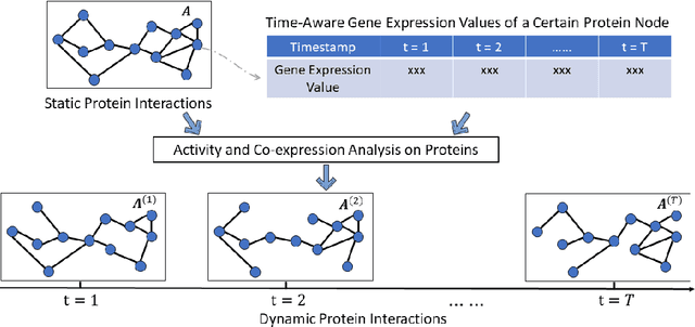 Figure 3 for DPPIN: A Biological Dataset of Dynamic Protein-Protein Interaction Networks