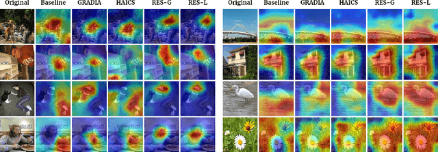 Figure 3 for RES: A Robust Framework for Guiding Visual Explanation