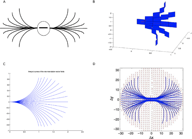 Figure 1 for Emergence of Lie symmetries in functional architectures learned by CNNs