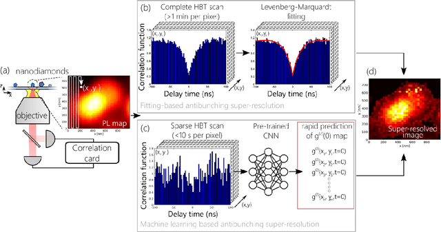 Figure 1 for Machine learning assisted quantum super-resolution microscopy