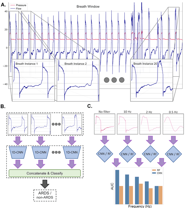 Figure 1 for Deep Learning-Based Detection of the Acute Respiratory Distress Syndrome: What Are the Models Learning?