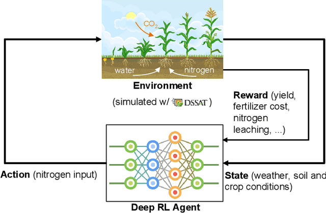Figure 1 for Optimizing Nitrogen Management with Deep Reinforcement Learning and Crop Simulations