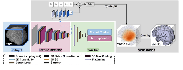 Figure 3 for Detecting Schizophrenia with 3D Structural Brain MRI Using Deep Learning