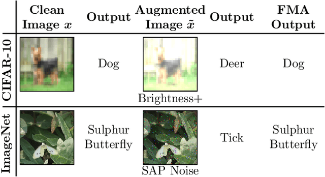 Figure 1 for A Self-Supervised Feature Map Augmentation (FMA) Loss and Combined Augmentations Finetuning to Efficiently Improve the Robustness of CNNs