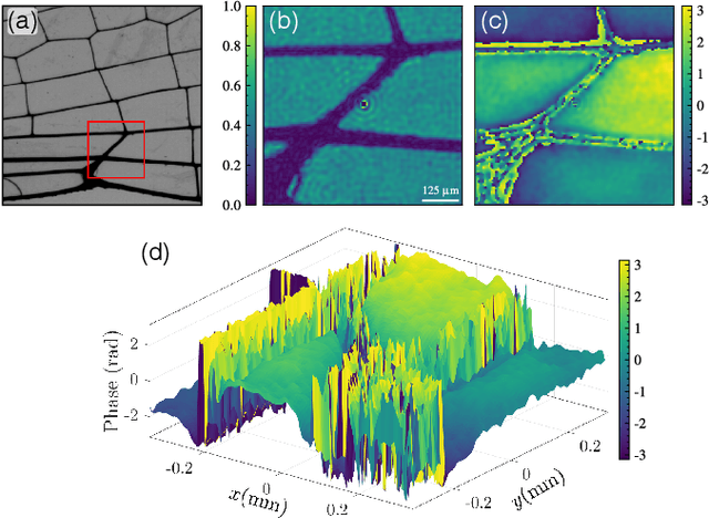Figure 4 for Complex-amplitude Fourier single-pixel imaging via coherent structured illumination