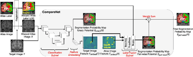 Figure 1 for CompareNet: Anatomical Segmentation Network with Deep Non-local Label Fusion
