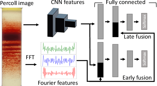 Figure 2 for Fourier Transform of Percoll Gradients Boosts CNN Classification of Hereditary Hemolytic Anemias