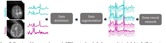 Figure 3 for Human-Expert-Level Brain Tumor Detection Using Deep Learning with Data Distillation and Augmentation