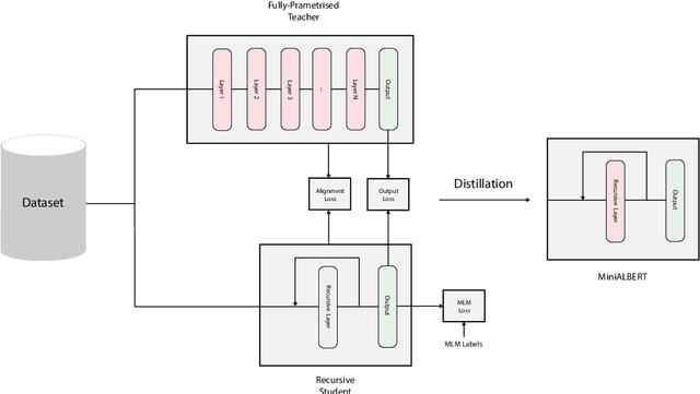 Figure 1 for MiniALBERT: Model Distillation via Parameter-Efficient Recursive Transformers