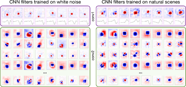 Figure 3 for Deep Learning Models of the Retinal Response to Natural Scenes