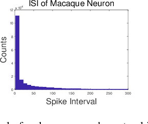Figure 3 for A Novel Neuron Model of Visual Processor