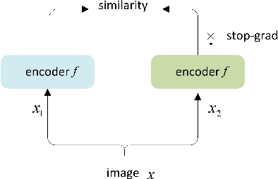 Figure 1 for A CTC Triggered Siamese Network with Spatial-Temporal Dropout for Speech Recognition