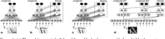 Figure 1 for Block Neural Network Avoids Catastrophic Forgetting When Learning Multiple Task