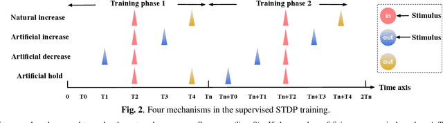 Figure 3 for A Supervised STDP-based Training Algorithm for Living Neural Networks